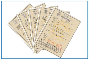 Case of Ex Certification for  Automated Packaging Equipment